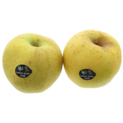 POMME CHANTECLERC KG